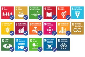 Icons for each of the UN's 17 sustainable development goals with ticks against 1, 2, 3, 4, 5, 6, 7, 8, 9, 10, 11, 13, 14, 15, and 16